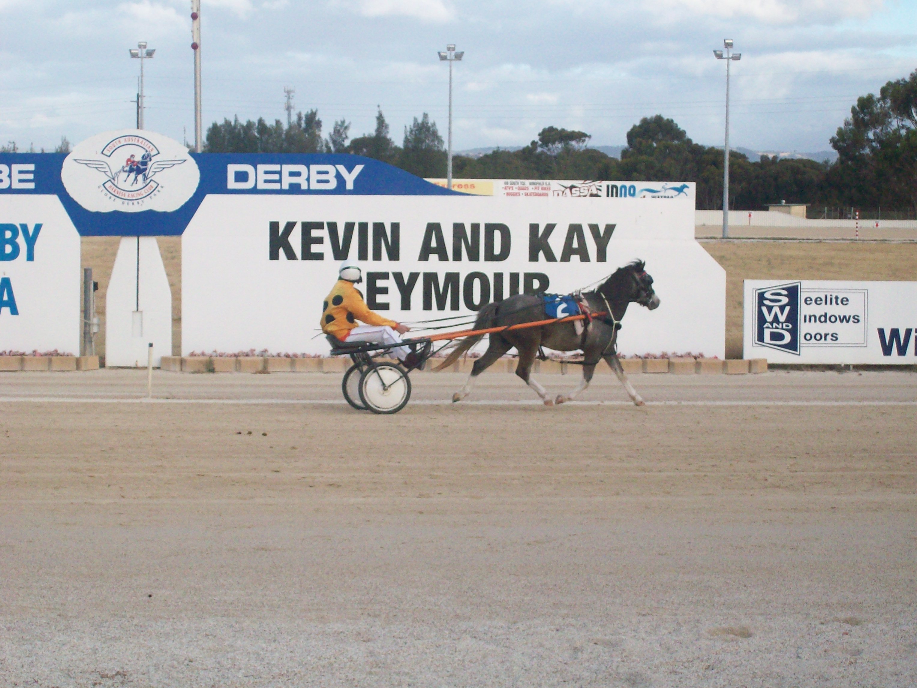 South Australian Harness Racing Pony Association